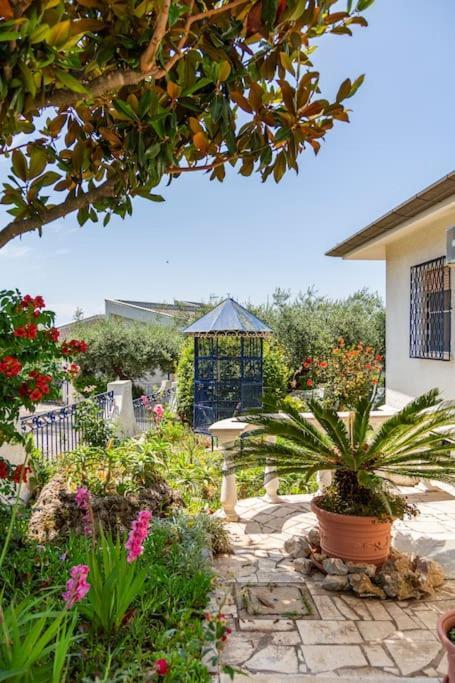 Historic Luxury Villa Terracina Exterior photo